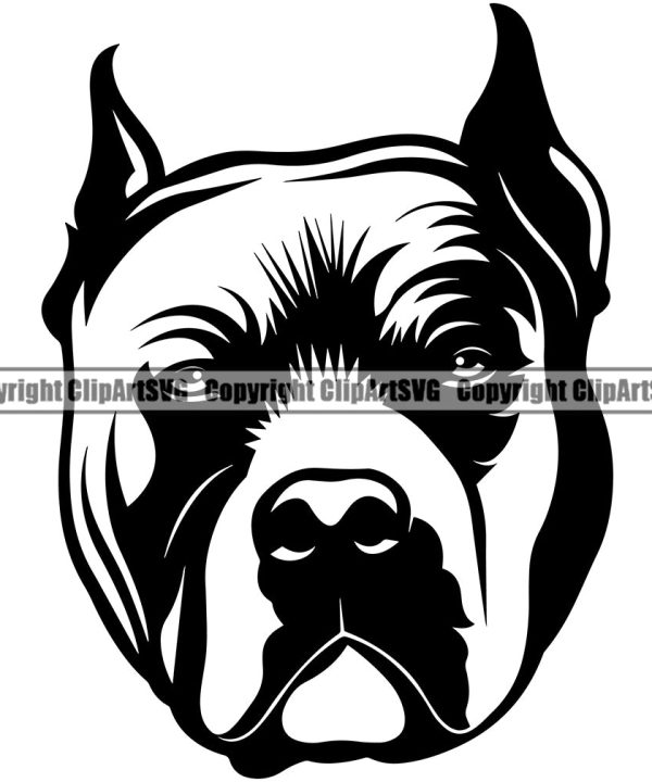 Pit Bull Dog Head Angry Face Design Element  Puppy Pup Head Purebred Pedigree Canine K-9 K9 Animal Portrait Doggy Face Vector Clipart SVG Sale Supply