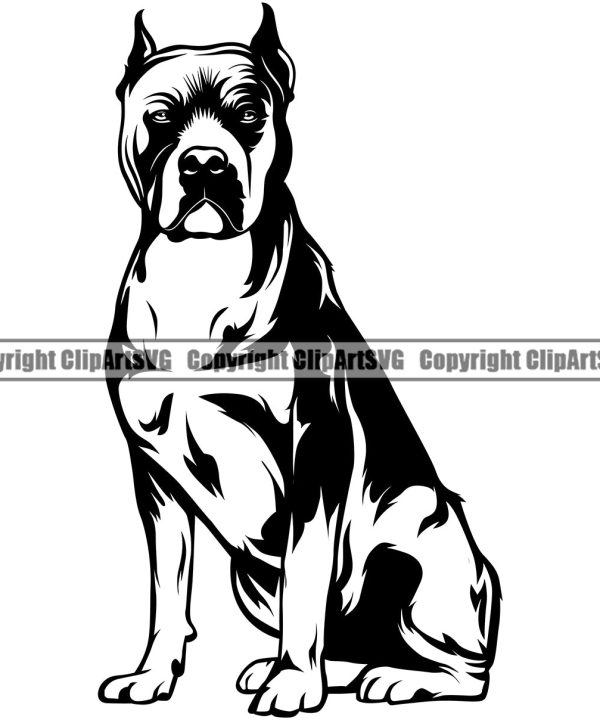 Pit Bull Dog Sitting Position Design Element Puppy Pup Head Purebred Pedigree Canine K-9 K9 Animal Portrait Doggy Face Body Clipart SVG Fashion Style Online