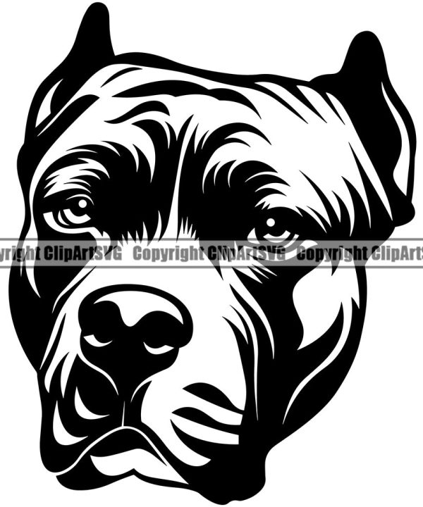 Pit Bull Dog Head Design Cute Face Animal Puppy Pup Head Purebred Pedigree Canine K-9 K9 Animal Portrait Doggy Vector Clipart SVG Cheap Sale Perfect