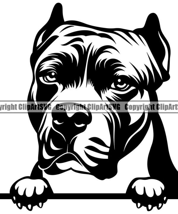 Pit Bull Peeking Position Dog Design Element Puppy Pup Head Purebred Pedigree Canine K-9 K9 Animal Portrait Doggy Face Clipart SVG Reliable For Sale