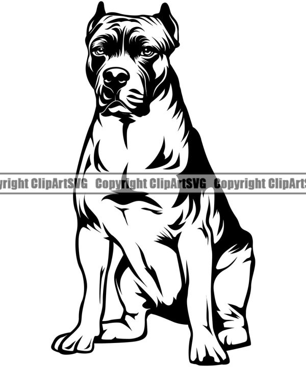 Pit Bull Sitting Dog Design Puppy Pup Head Purebred Pedigree Canine K-9 K9 Animal Portrait Doggy Face Body Clipart SVG Free Shipping Best Seller