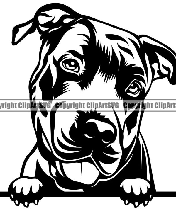 Pit Bull Dog Peeking Design Element  Puppy Pup Head Purebred Pedigree Canine K-9 K9 Animal Portrait Doggy Face Clipart SVG Outlet Cheap Authentic