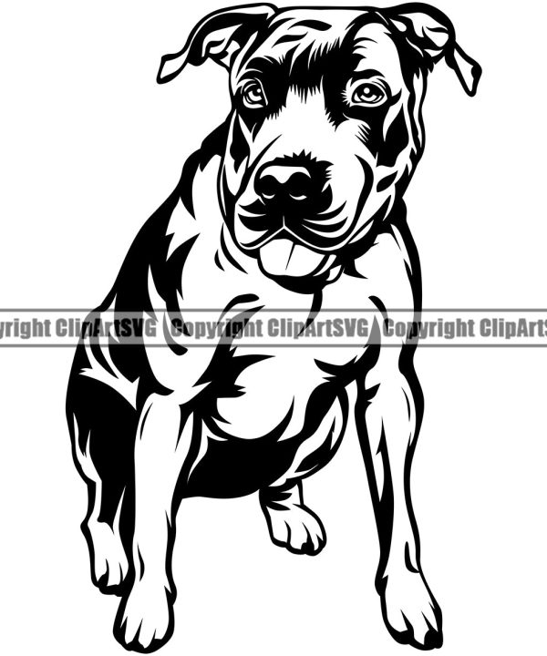 Pit Bull Siting Position Design Element  Puppy Pup Head Purebred Pedigree Canine K-9 K9 Animal Portrait Doggy Face Vector Clipart SVG Free Shipping Pices