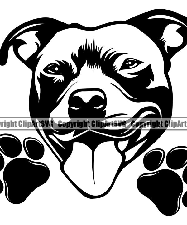 Pit Bull Dog Peeking Design Element Puppy Pup Head Purebred Pedigree Canine K-9 K9 Animal Portrait Doggy Face Vector Clipart SVG Top Quality Online