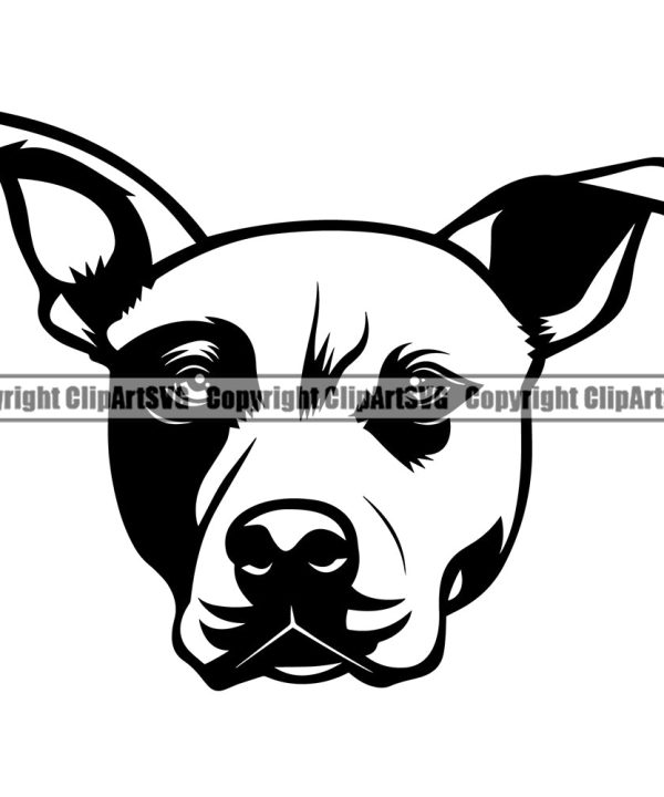 Pit Bull Dog Black Head Design Element Puppy Pup Head Purebred Canine K9 Animal Portrait Doggy Face Cute Pedigree Vector Clipart SVG Wholesale Pice Cheap Pice