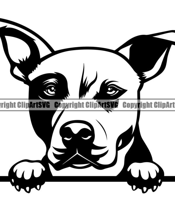 Pit Bull Dog Peeking Design Element Puppy Pup Head Purebred Pedigree Canine K-9 K9 Animal Portrait Doggy Face Cute Body Clipart SVG Cheap Cost