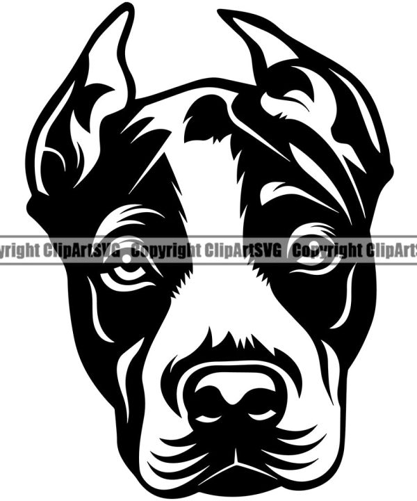 Pit Bull Dog Angry Face Design  Puppy Pup Head Purebred Pedigree Canine K-9 K9 Animal Portrait Doggy Face Cute Vector Clipart SVG Outlet Affordable