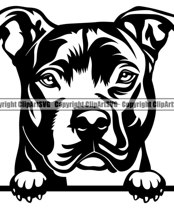Pit Bull Dog Peeking Design Element Puppy Pup Head Purebred Pedigree Canine K-9 K9 Animal Portrait Doggy Face Cute Vector Clipart SVG Amazon Sale Online