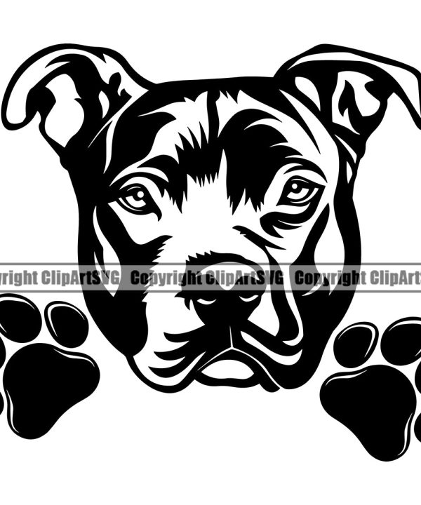 Pit Bull Dog Peeking Design Element Puppy Pup Head Purebred Canine K-9 K9 Animal Doggy Face Cute Vector Pedigree Portrait Clipart SVG Perfect