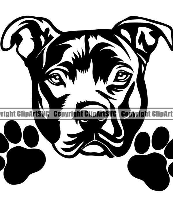 Pit Bull Dog Peeking Design Element Puppy Pup Head Purebred Pedigree Canine K-9 K9 Animal Portrait Doggy Face Cute Vector Clipart SVG Cheap Fake