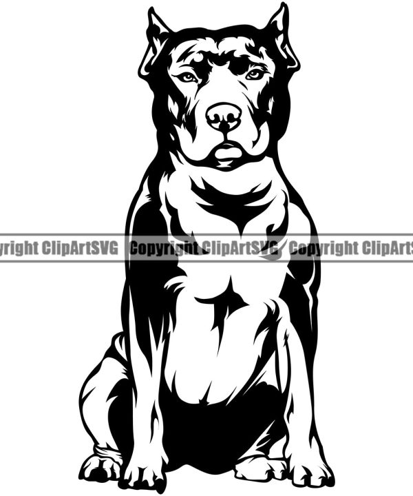 Pit Bull Dog Sitting Design Element Puppy Pup Head Purebred Pedigree Canine K-9 K9 Animal Portrait Doggy Face Cute Vector Clipart SVG Clearance From China