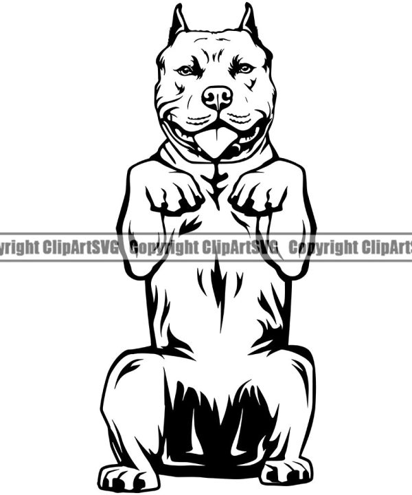 Pit Bull Dog Begging Design Element Body Puppy Pup Head Purebred Pedigree Canine K-9 K9 Animal Portrait Doggy Face Cute Vector Clipart SVG Sale Geniue Stockist