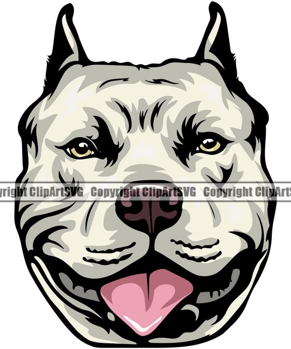 Pit Bull Dog Color Head Design Element Puppy Pup Head Purebred Canine K-9 K9 Animal Doggy Face Cute Pedigree Portrait Vector Clipart SVG Visit For Sale