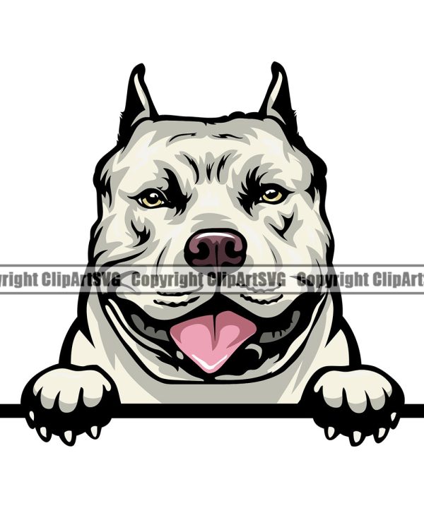 Pit Bull Dog Color Head Design Peeking Position Puppy Pup Head Purebred Pedigree Canine K-9 K9 Animal Portrait Doggy Face Cute Vector Clipart SVG Outlet Official Site