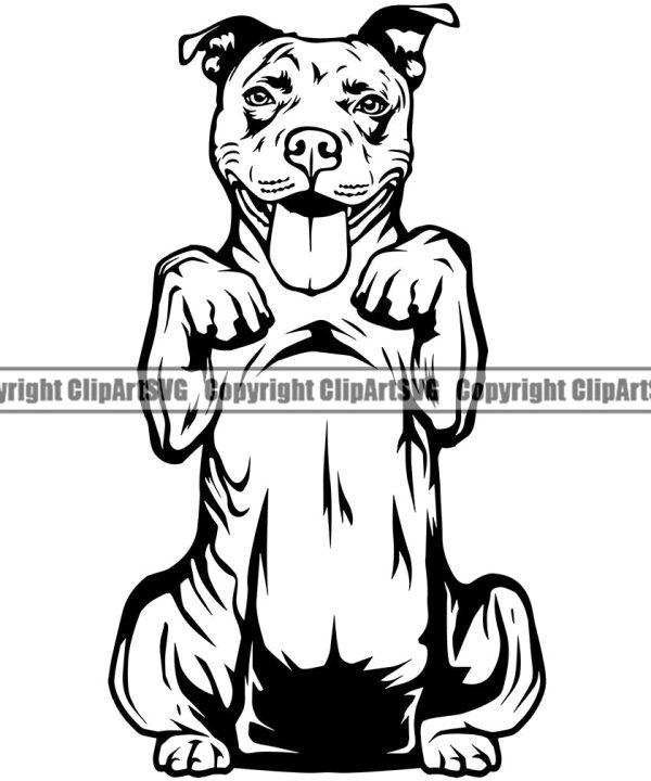 Pit Bull Dog Begging Design Element Animal Body Vector Puppy Pup Head Purebred Pedigree K9 Animal Portrait Doggy Face Cute Canine Clipart SVG Buy Cheap Clearance