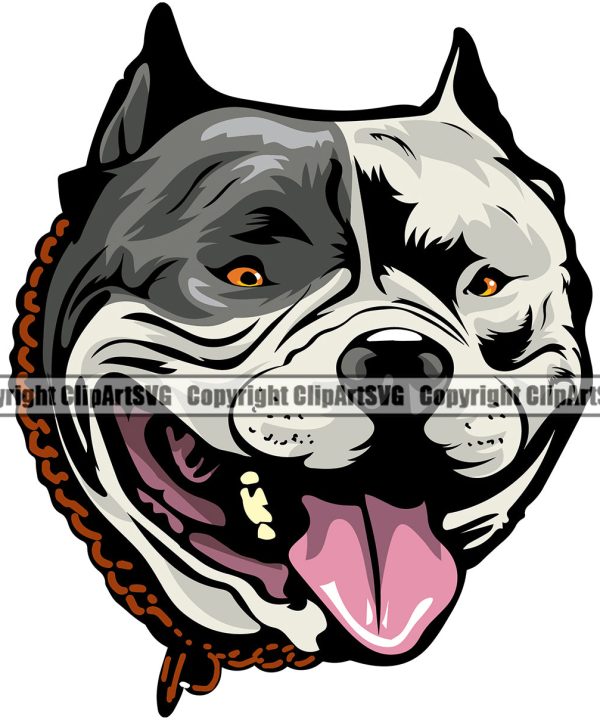 Pit Bull Dog With Collar Design Color Head Animal Puppy Pup Head Purebred Pedigree Canine K-9 K9 Animal Portrait Doggy Vector Clipart SVG Clearance Low Pice Fee Shipping