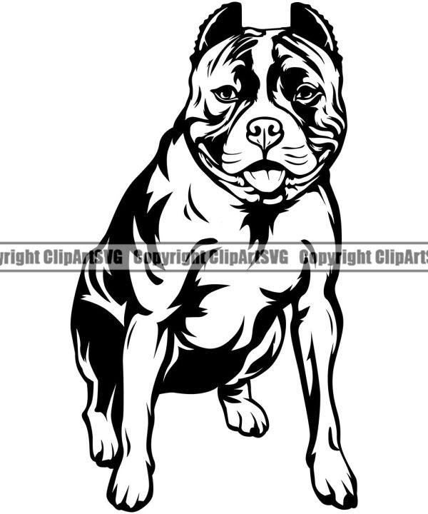 Pit Bull Dog Sitting Design Element Cute Face Animal Puppy Pup Head Purebred Pedigree Canine K-9 K9 Animal Portrait Doggy Clipart SVG 2025 New Sale Online
