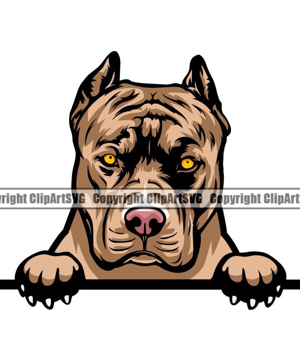 Pit Bull Dog Peeking Position Color Head Design Puppy Pup Head Purebred Pedigree Canine K-9 K9 Animal Portrait Doggy Vector Clipart SVG Outlet Best Sale