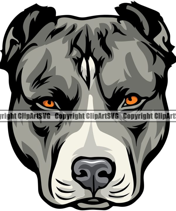 Pit Bull Dog Color Head Design Element Angry Face  Puppy Pup Head Purebred Pedigree Canine K-9 K9 Animal Portrait Doggy Vector Clipart SVG Free Shipping Fashion Style