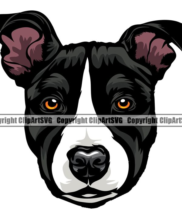 Pit Bull Dog Color Head Design Animal Puppy Pup Head Purebred Pedigree Canine K-9 K9 Animal Portrait Doggy Face Clipart SVG Cheap Sale Lowest Pice