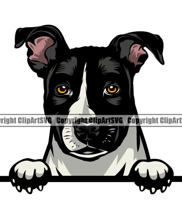 Pit Bull Dog Color Head Design Puppy Pup Head Purebred Pedigree Canine K-9 K9 Animal Portrait Doggy Vector Clipart SVG Buy Cheap Largest Supplier