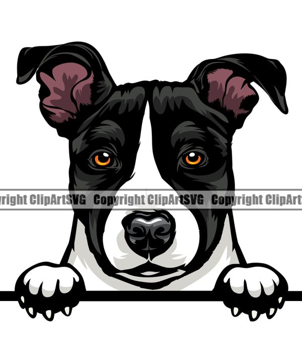 Pit Bull Dog Peeking Design Cute Face Animal Puppy Pup Head Purebred Pedigree Canine K-9 K9 Animal Portrait Doggy Vector Clipart SVG Free Shipping With Credit Card