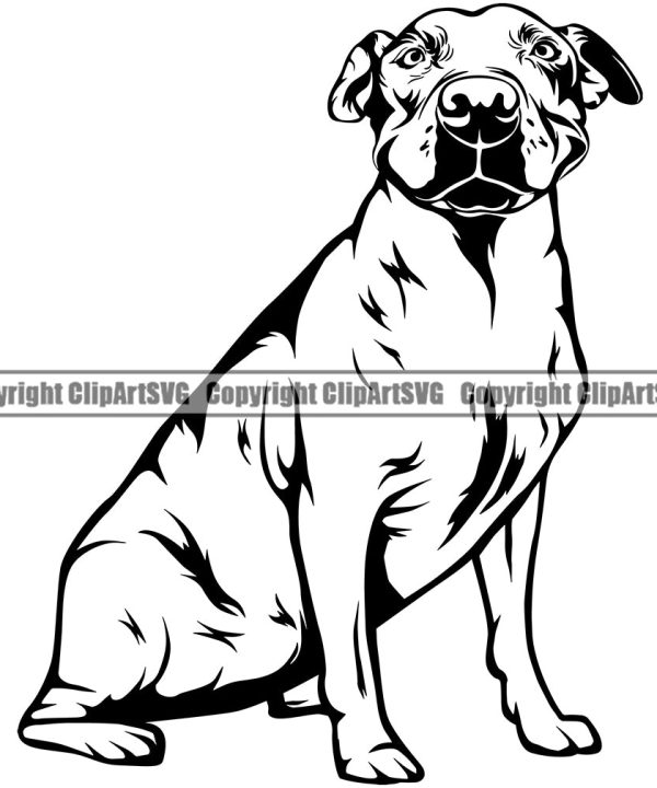 Pit Bull Dog Sitting Design Puppy Pup Head Purebred Pedigree Canine K-9 K9 Animal Portrait Doggy Vector Clipart SVG Buy Cheap Official Site