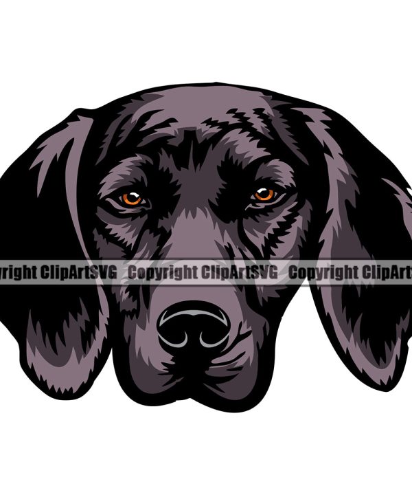 Plott Hound Dog Color Head Design Angry Face Puppy Pup Head Purebred Pedigree Canine K-9 K9 Animal Portrait Doggy Face Cute Vector Clipart SVG Tumblr Cheap Pice