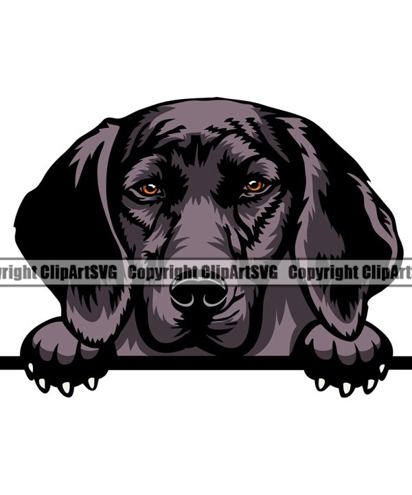Plott Hound Dog Peeking Design Element Puppy Pup Head Purebred Pedigree Canine K-9 K9 Animal Portrait Doggy Face Cute Vector Clipart SVG Fashion Style Online