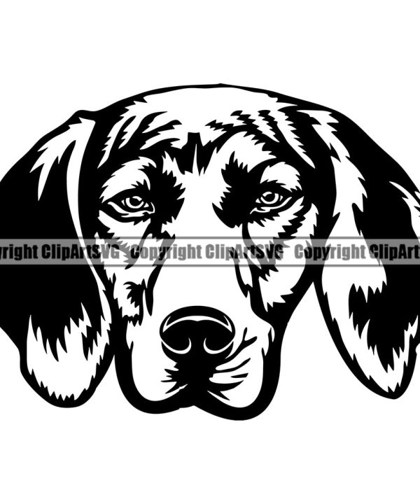 Plott Hound Animal Dog Design Puppy Pup Head Purebred Pedigree Canine K-9 K9 Animal Portrait Doggy Face Cute Vector Clipart SVG For Nice Cheap Online