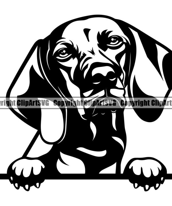 Weimaraner Dog Peeking Design Element Puppy Pup Head Purebred Pedigree Canine K-9 K9 Animal Portrait Doggy Smile Face Cute Body Vector Clipart SVG Discount Classic