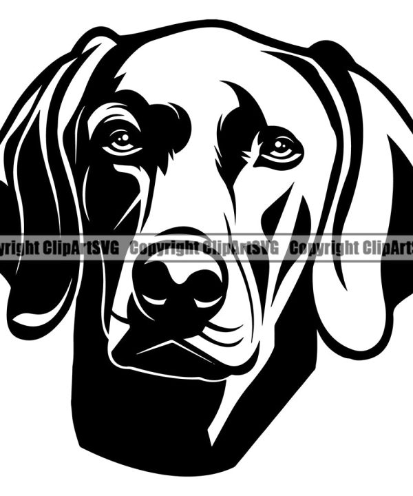 Weimaraner Dog Head Purebred Pedigree Design Element Puppy Pup Canine K-9 K9 Animal Portrait Doggy Smile Face Cute Body Vector Clipart SVG Cheap Sale Ebay