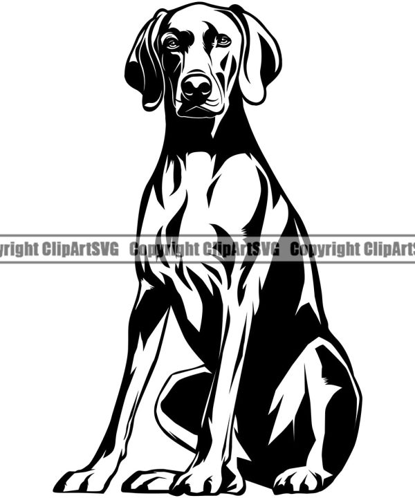 Weimaraner Sitting Dog Design Element Puppy Pup Head Purebred Pedigree Canine K-9 K9 Animal Portrait Doggy Smile Face Cute Body Vector Clipart SVG Visit New Cheap Pice