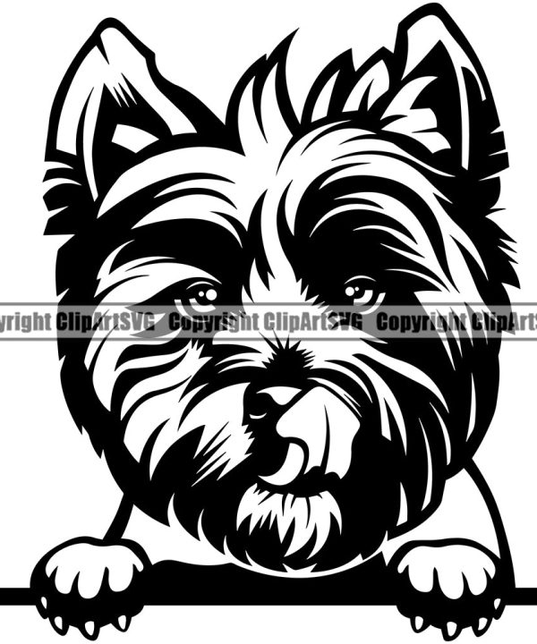 West Highland White Terrier Dog Peeking Design Element Puppy Pup Purebred Pedigree Canine K-9 K9 Animal Portrait Doggy Smile Face Cute Body Vector Clipart SVG Discount Sast