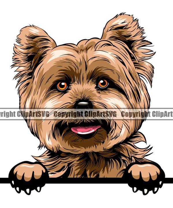 Yorkie Dog Peeking Color Design Element Doggy Smile Face Cute Body Puppy Pup Purebred Pedigree Canine K-9 K9 Animal Portrait Vector Clipart SVG Free Shipping Classic