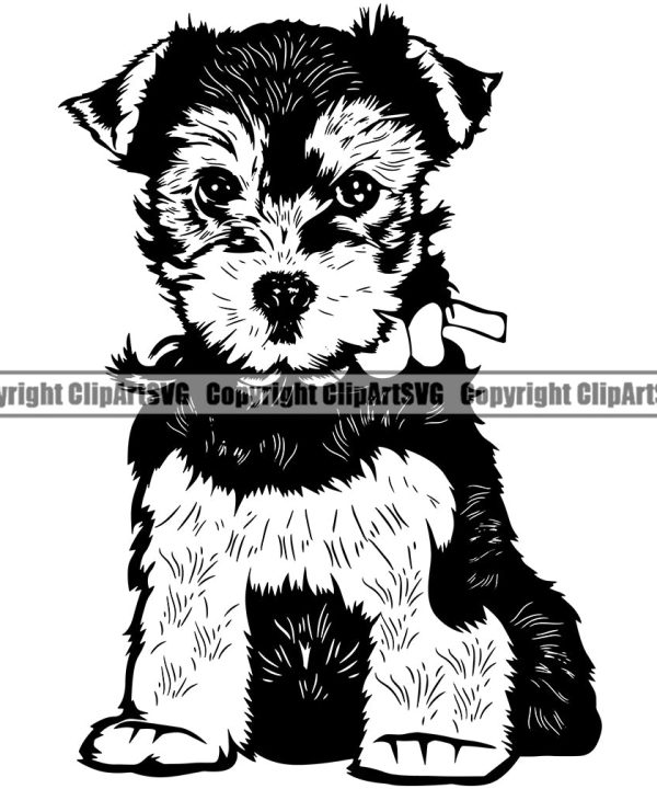 Yorkie Dog Sitting Design Element Puppy Pup K9 Animal Portrait Doggy Smile Head Purebred Pedigree Canine Face Cute Body Vector Clipart SVG Free Shipping Cheap Real