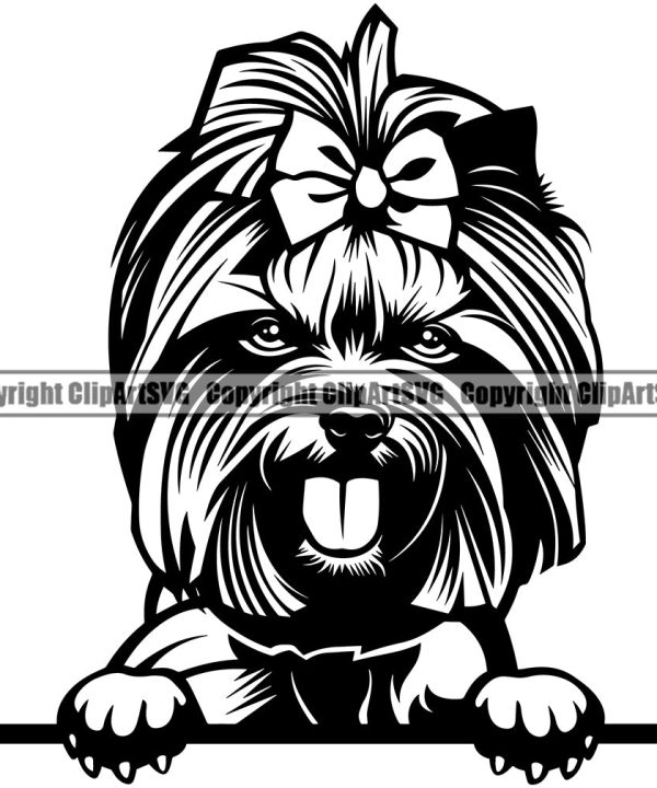 Yorkie Dog Peeking Design Element Puppy Portrait Doggy Smile Face Cute Body Pup Head Purebred Pedigree Canine K-9 K9 Animal Vector Clipart SVG Outlet Affordable