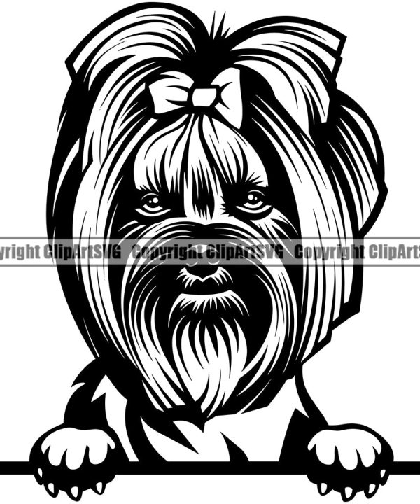 Yorkie Dog Peeking Design Element Puppy Long Hair Head Purebred Pedigree Canine K-9 K9 Animal Portrait Doggy Smile Face Cute Body Vector Clipart SVG Outlet Store Online