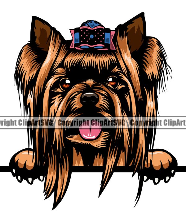 Yorkie Peeking Dog Brown Color Head Design Element Puppy Pup Purebred Pedigree Canine K-9 K9 Animal Portrait Doggy Smile Face Cute Body Vector Clipart SVG Free Shipping Best Place