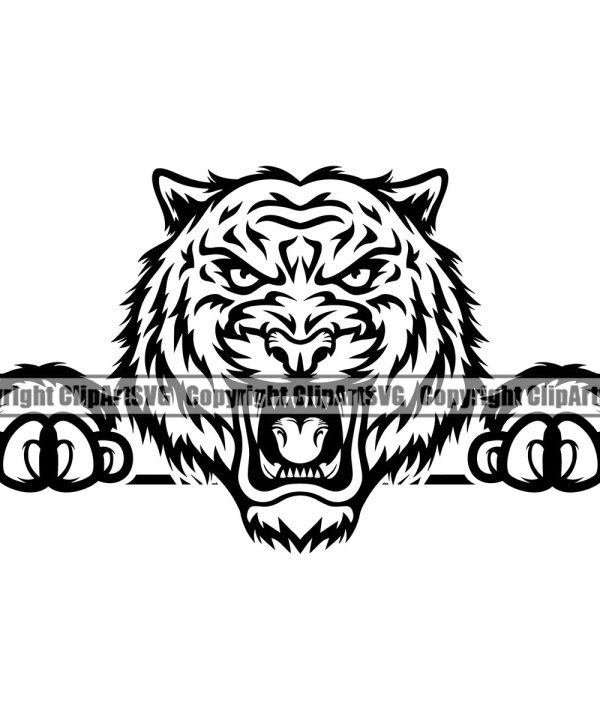 Wildcat Big Jungle Tiger Peeking Peek-A-Boo Sports Team Mascot Game Fantasy eSport Emblem Logo Symbol Clipart SVG Cheap Browse