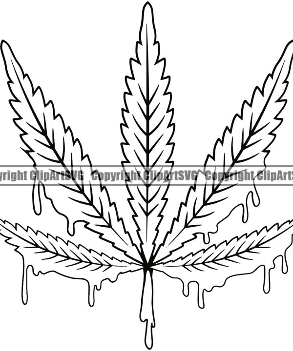 Black And White Color Dripping BW Leaf Marijuana Legalize Pot Organic Leaf Medical Medicine Health Herb Plant Cannabis Hemp Drug Grass Weed THC Legal Art Logo Clipart SVG Cheap Sale Excellent