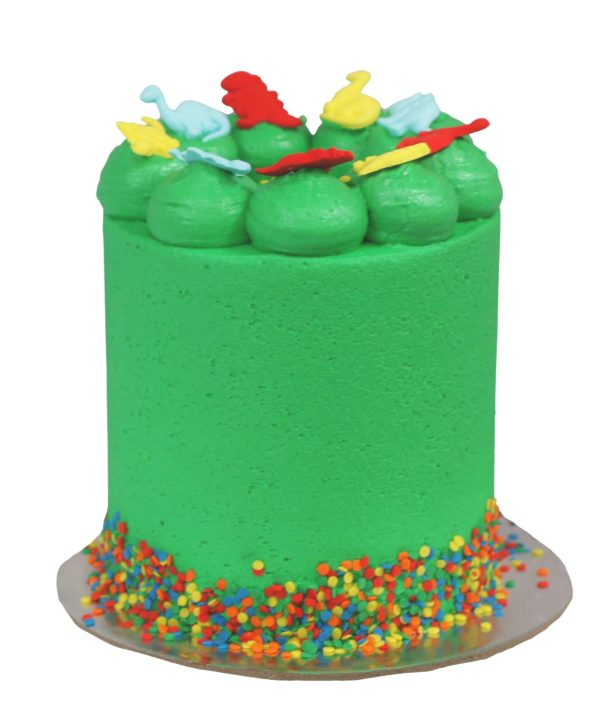 Dinosaur Cake Inexpensive Sale Online
