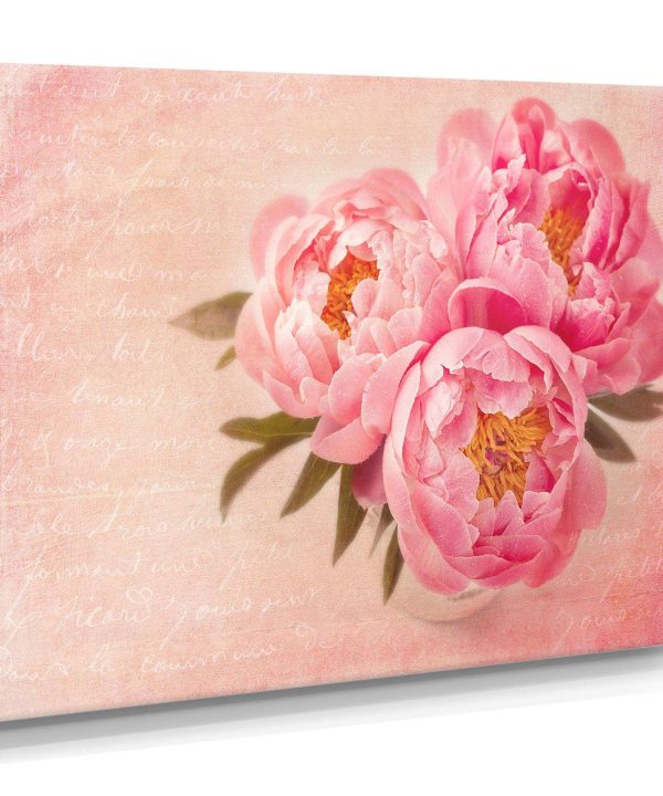 Peony Flowers against Scribbled Back Visit For Sale
