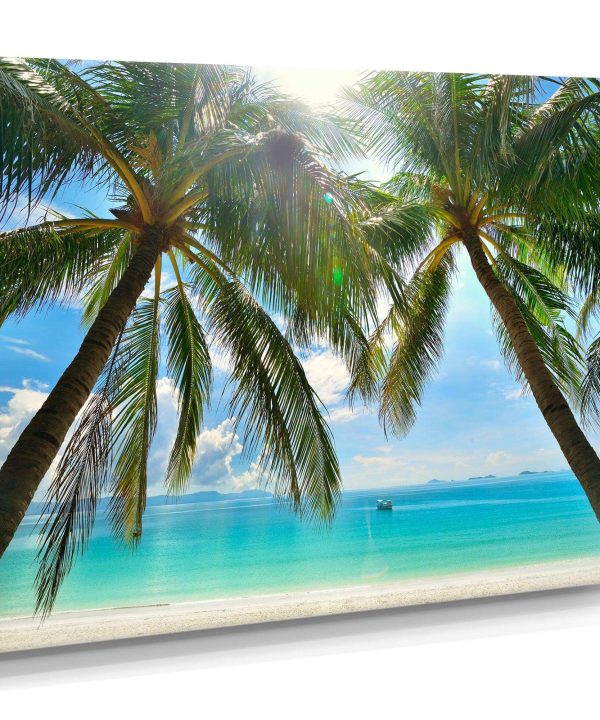 Palm Hanging over Sandy White Beach For Cheap