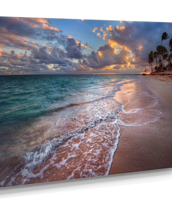 Palm Trees on Clear Sandy Beach Buy Cheap Looking For