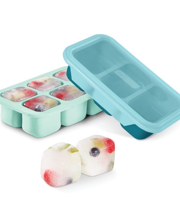 Perfect Portion Freezer Trays Outlet Online