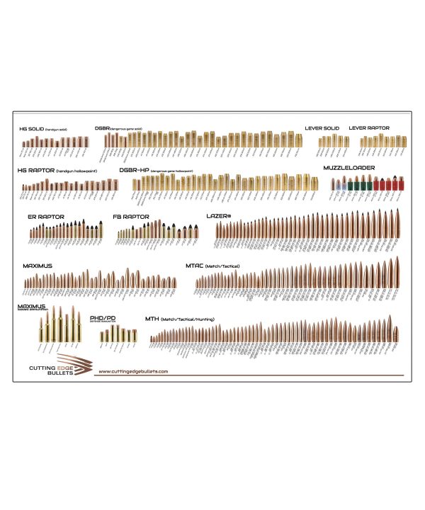 CEB Bullet Poster Sale Wiki