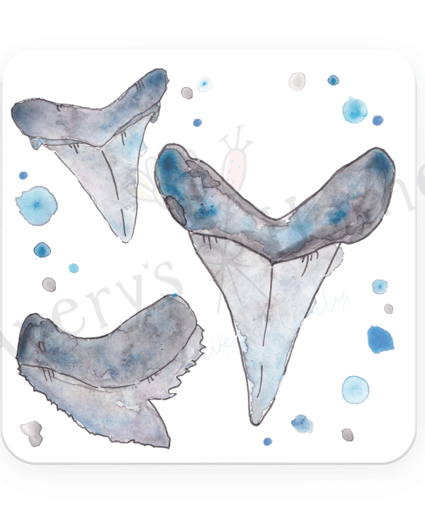 Shark Tooth Absorbent Stone Coaster (Sold as set of 12) Buy Cheap Manchester Great Sale