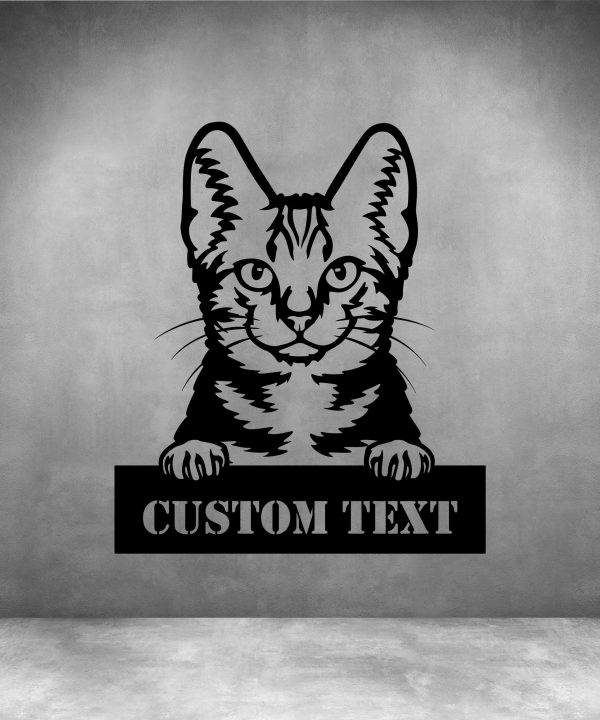 American Shorthair with Custom Text For Nice Cheap Price