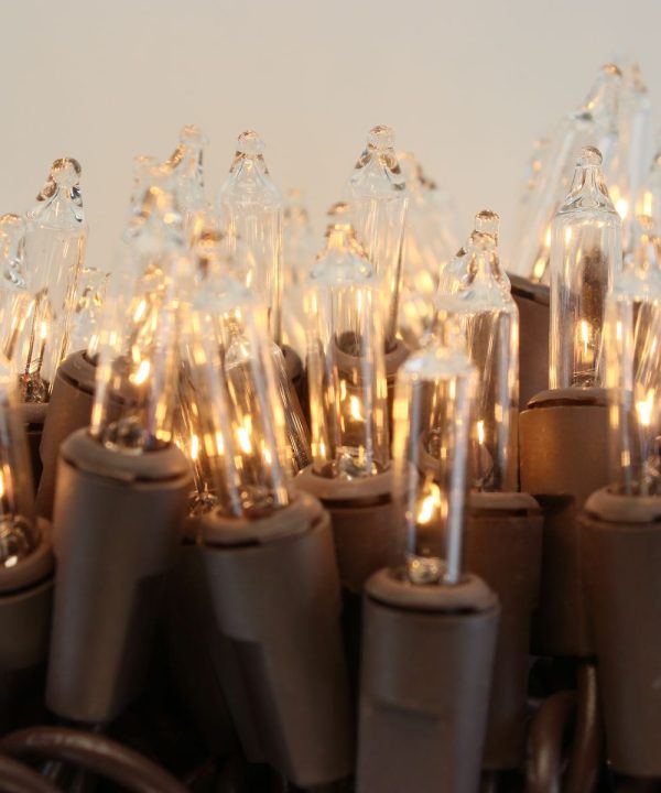100-bulb Clear Mini Lights, 4" Spacing Brown Wire Sale Online Cheap
